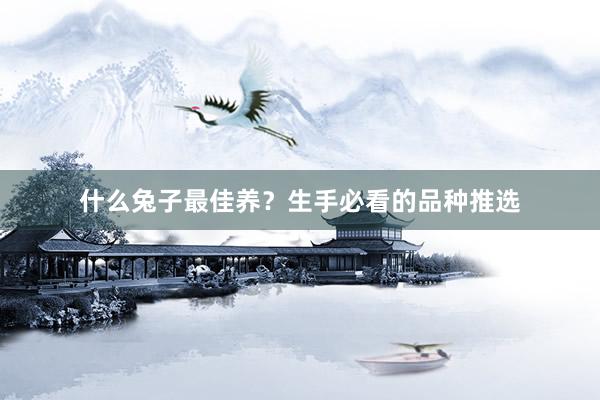 什么兔子最佳养？生手必看的品种推选