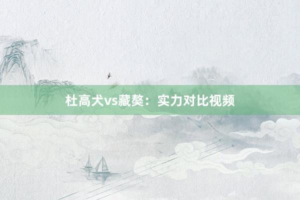 杜高犬vs藏獒：实力对比视频